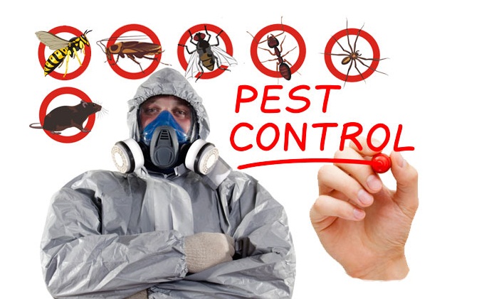  Service Provider of Pest Control Services New Delhi Delhi 