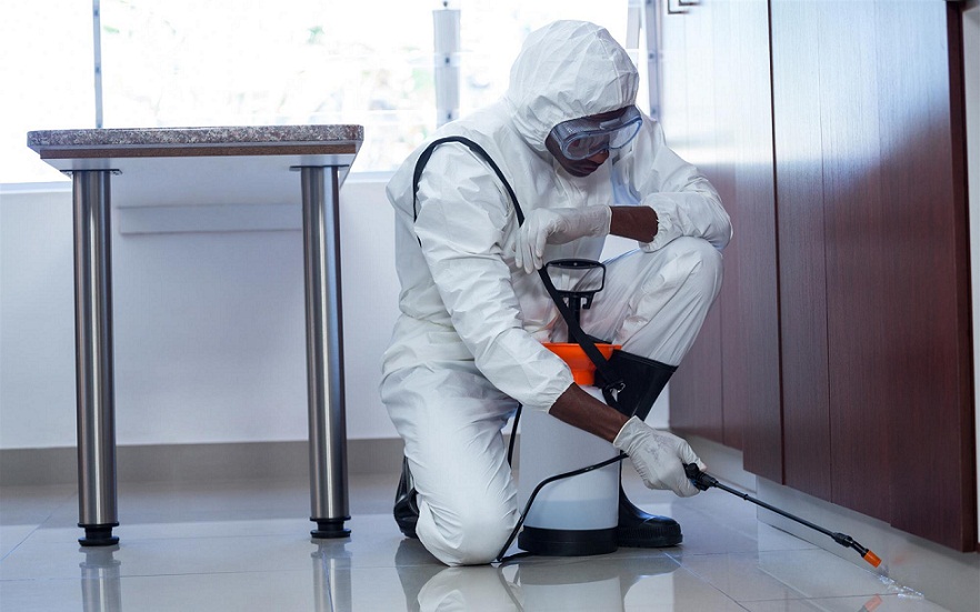  Service Provider of Commercial Pest Control Services New Delhi Delhi 