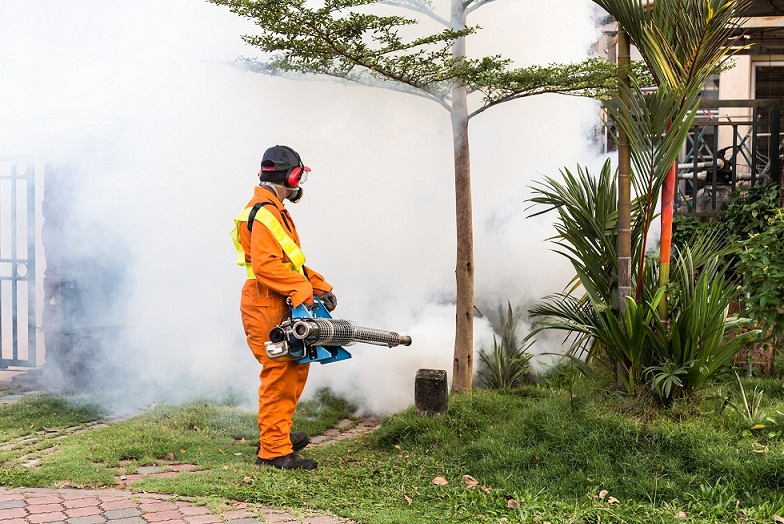  Service Provider of Fumigation Treatment New Delhi Delhi 