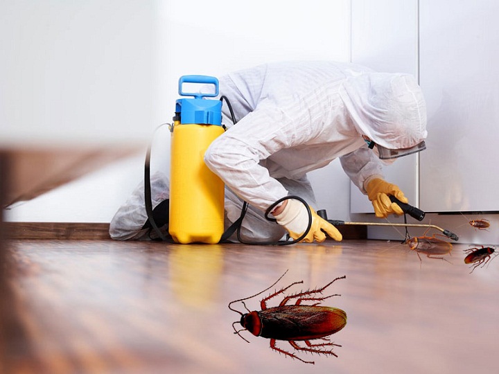  Service Provider of Pest Control Services For Cockroach New Delhi Delhi 